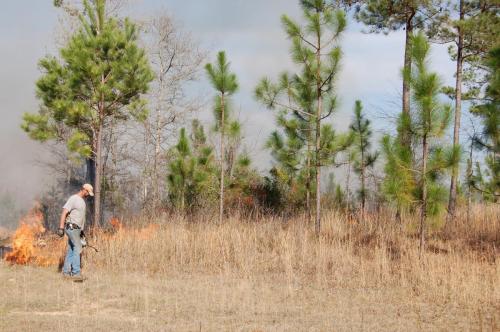 03 22 11 Gordon054 (1)