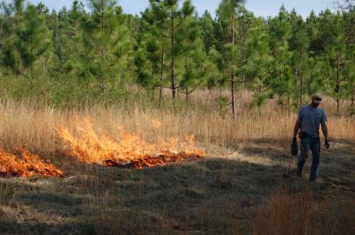 03 22 11 Gordon065 (1)