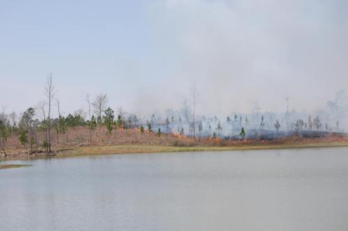 03 22 11 Gordon 043 (1)