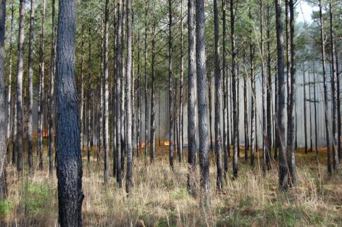 03 25 11 McGehee 007 (1)