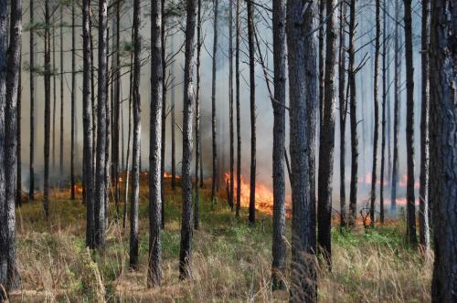 03 25 11 McGehee 008 (1)