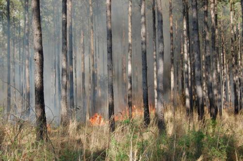 03 25 11 McGehee 026 (1)