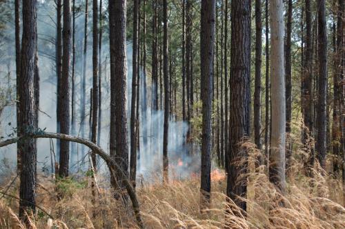 03 25 11 McGehee 027 (1)