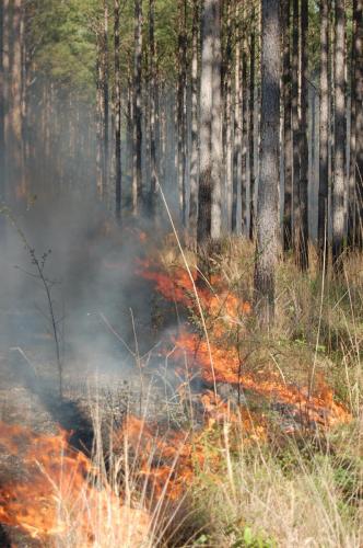 03 25 11 McGehee 030 (1)