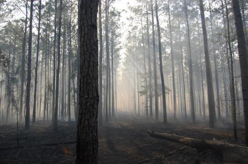 03 25 11 McGehee 037 (1)