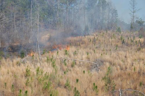 11 03 11 oberdorfer 002 (1)