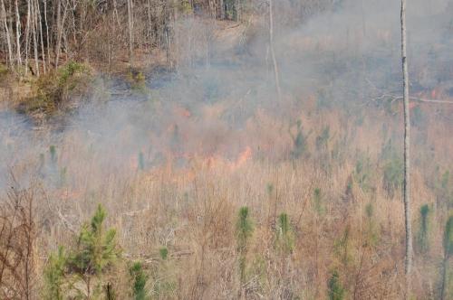 11 03 11 oberdorfer 015 (1)