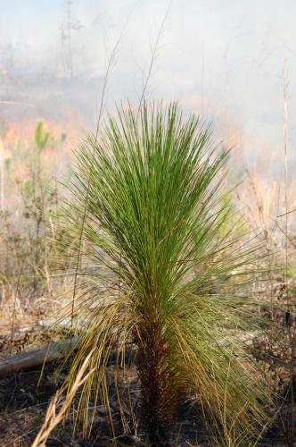 11 03 11 oberdorfer 020 (1)