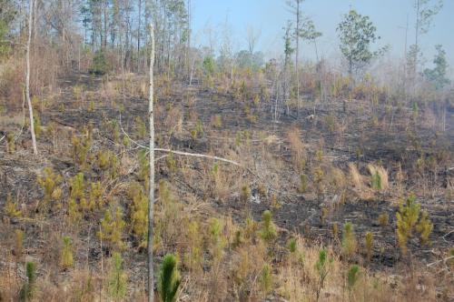 11 03 11 oberdorfer 023 (1)