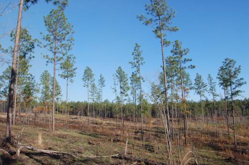 11 03 11 oberdorfer 025 (1)