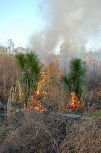 11 03 11 oberdorfer 036 (1)