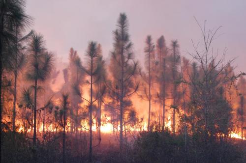 2010 04 02 Dunn12 (1)