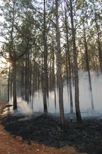 2010 04 05 Beeler033 (1)