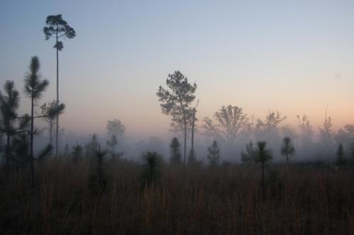 2010 04 21 Gordon006 (1)