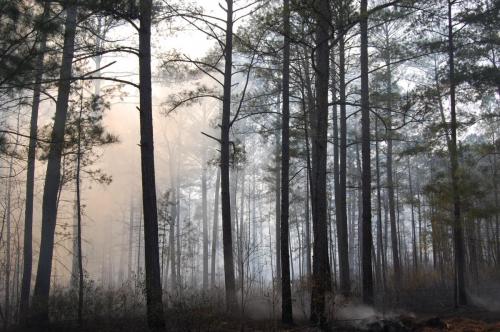 2011 03 03 Thompson 058 (1)