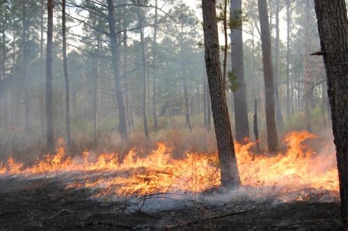 2011 03 04 Thompson 002 (1)