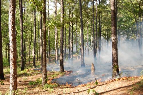 2012 Apr 10 Dunn 010 (1)