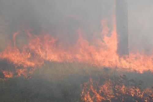 2014 Apr 25 016 Noble (1)