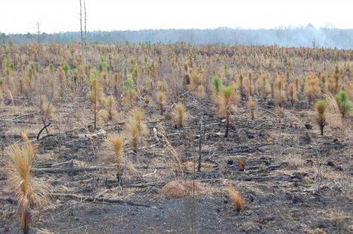 2014 Mar 09 McGhee (2) (1)