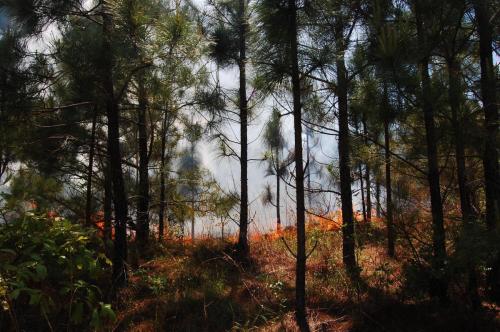 2014 May 02 048 Deramus (1)