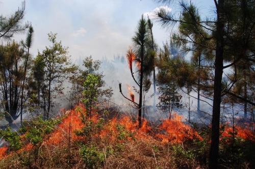 2014 May 02 050 Deramus (1)