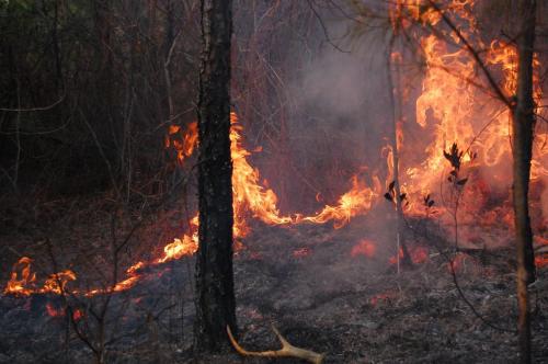 Bowden2011 03 02 083 (1)