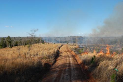 Bragg Feb 15 2013 144 (1)