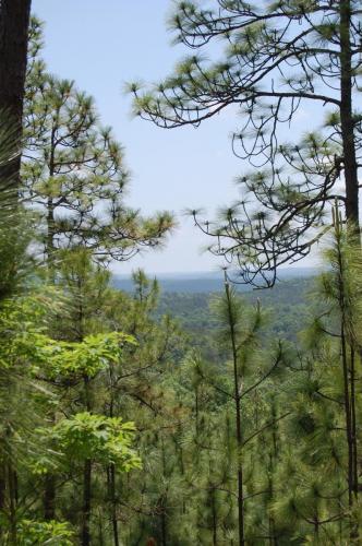 L weil May 22 2013 036 (1)