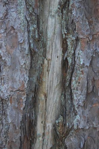 L weil May 22 2013 039 (1)