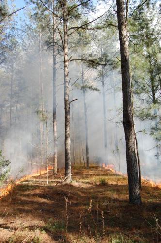 Levy Mar 28 2013 020 (1)