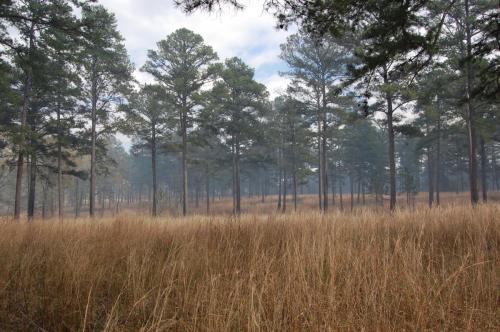 Noble Mar 26 2013 050 (1)