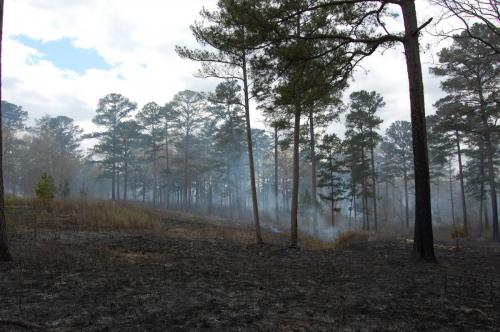 Noble Mar 26 2013 052 (1)