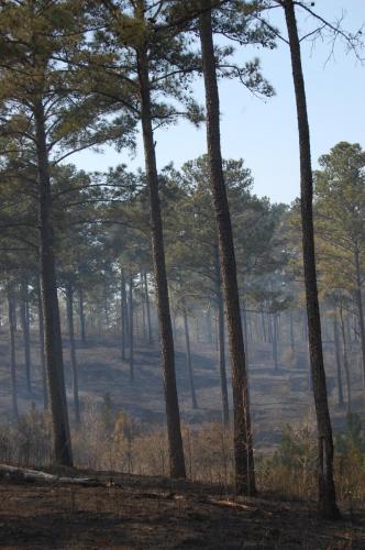 Trp Ck Mar 29 2013 011 (1)