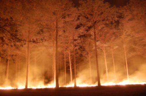 Wyecott DSC 0006 (1)