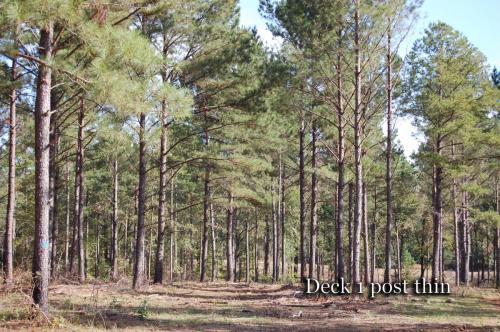 deck1 post thin titled (1)